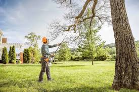 Reliable New Hartford Center, CT  Tree Services Solutions